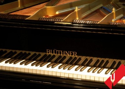 Restauracion de Piano de Cola Bluthner 10