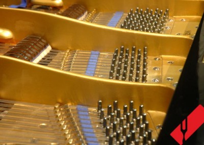 Restauracion de Piano de Cola Bluthner 4