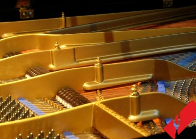 Restauracion de Piano de Cola Bluthner 6