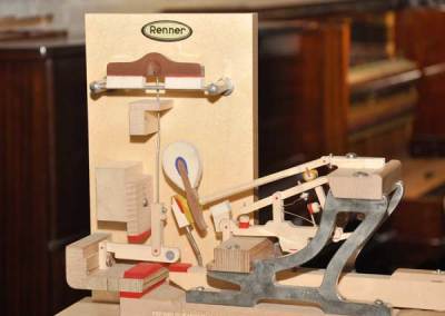 fotografias-galeria-del-curso4